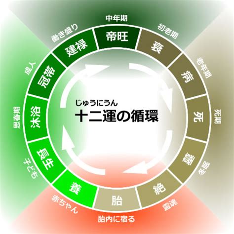 長生十二運|四柱推命｜十二運の「長生(ちょうせい)」とは？性格 